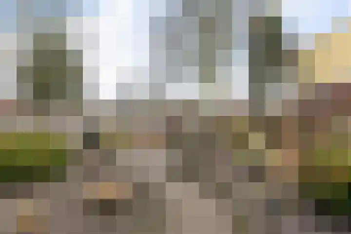 Bruntingerbrink 67 Emmen thumbnail 41