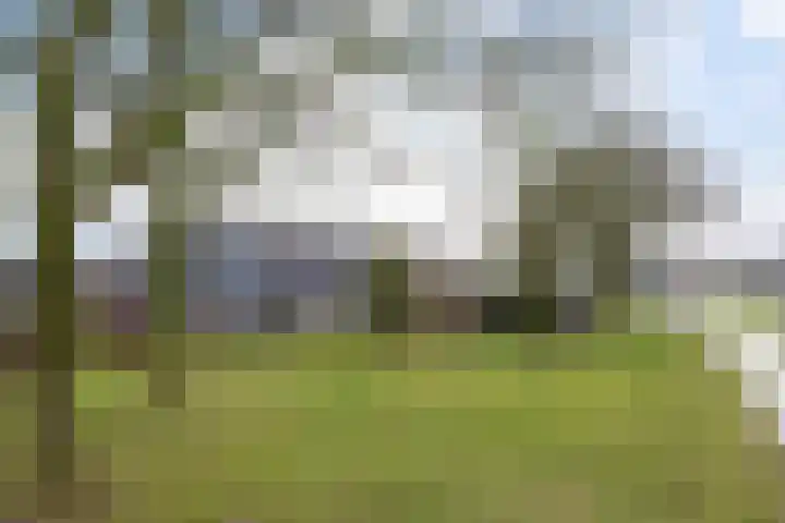 Bruntingerbrink 67 Emmen thumbnail 50