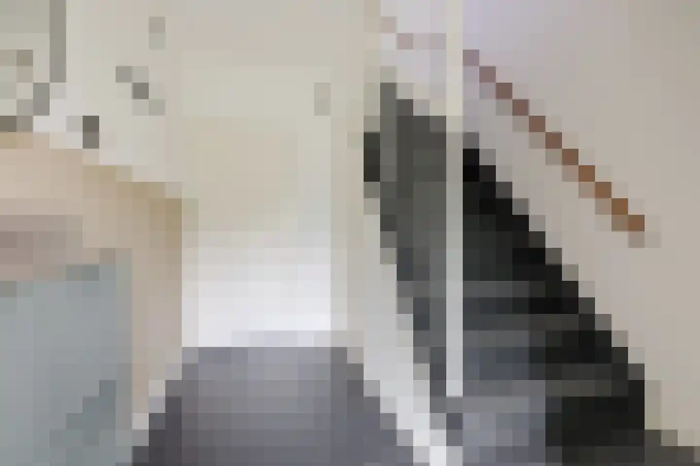 Bruntstraat 1 Terborg thumbnail 11