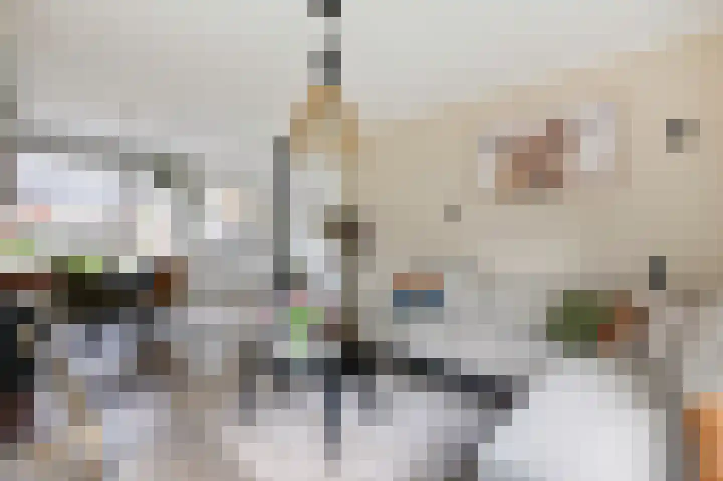 Bruntstraat 1 Terborg thumbnail 14