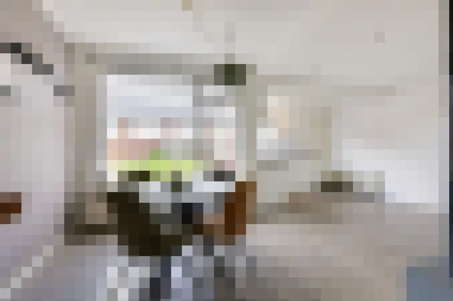 Bruntstraat 1 Terborg thumbnail 17