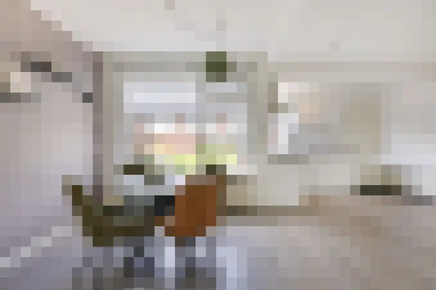 Bruntstraat 1 Terborg thumbnail 18