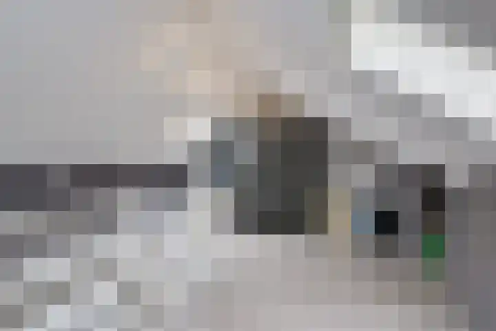 Bruntstraat 9 Terborg thumbnail 33