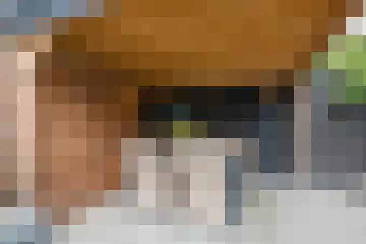 Bruntstraat 9 Terborg thumbnail 39
