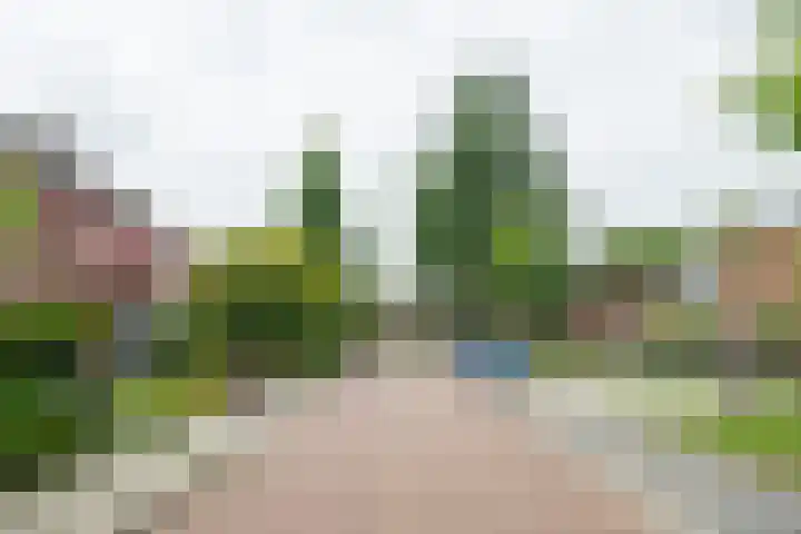 Bruntstraat 9 Terborg thumbnail 50