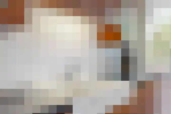 Brusselflat 23 Uithoorn thumbnail 11