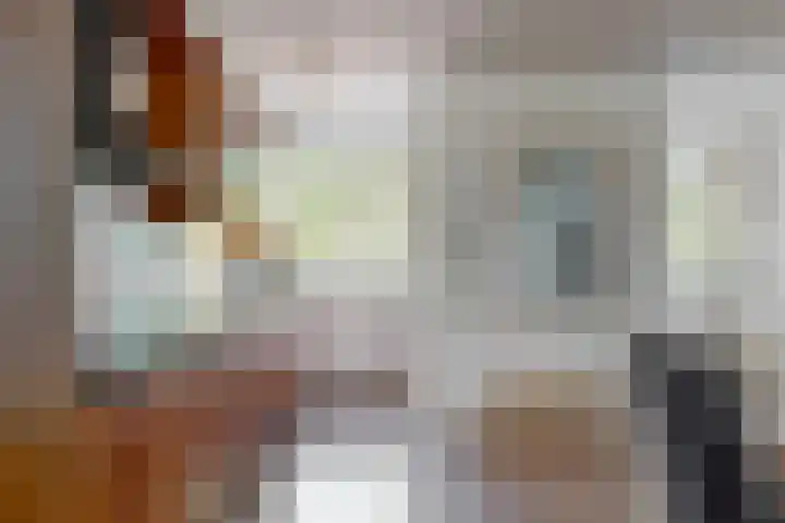 Brusselflat 23 Uithoorn thumbnail 12
