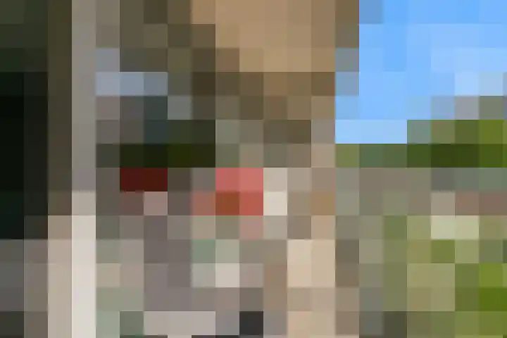 Brusselflat 23 Uithoorn thumbnail 19