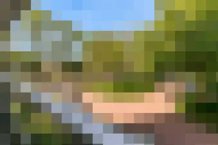 Brusselflat 23 Uithoorn thumbnail 21
