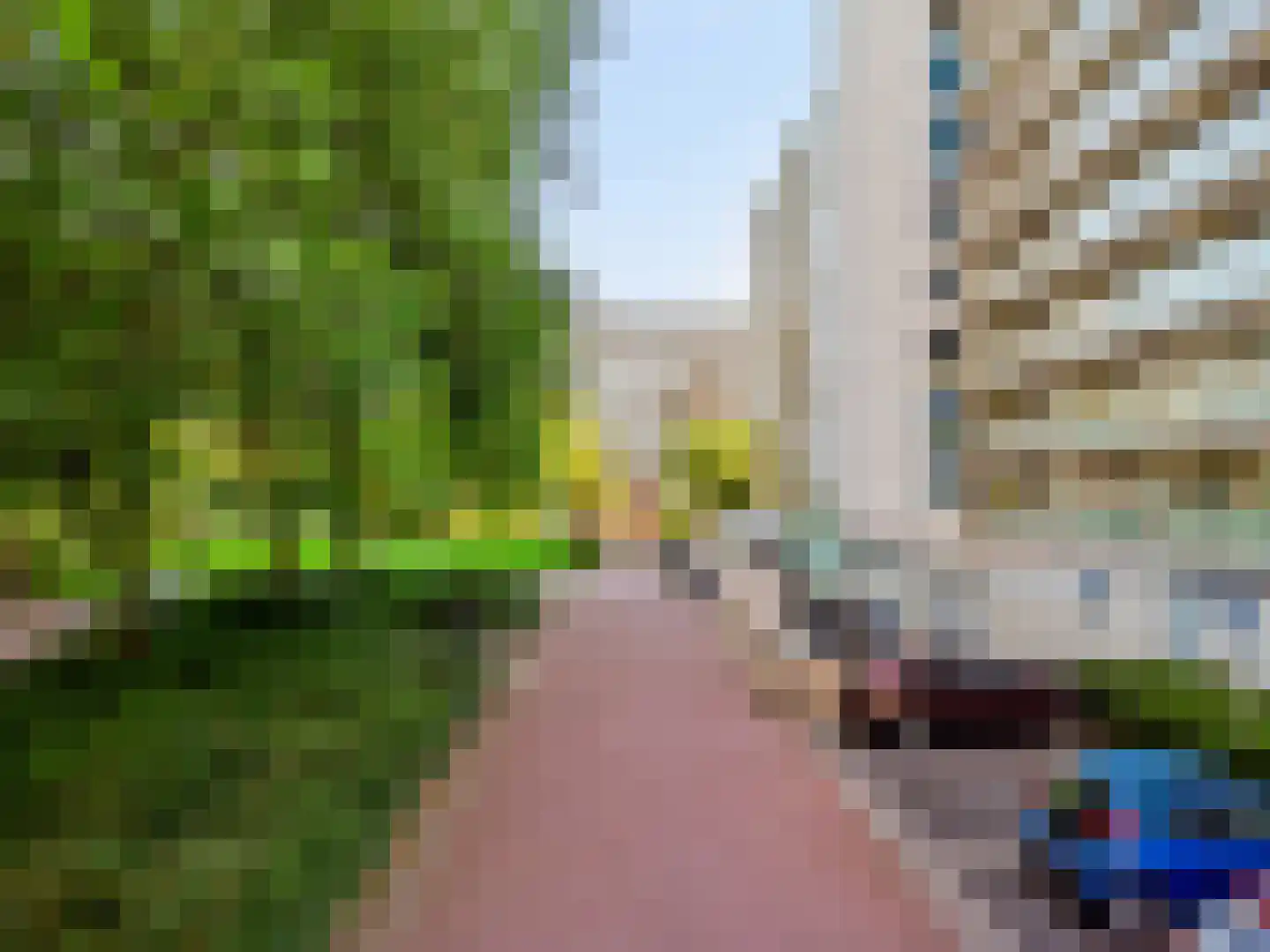 Brusselflat 47 Uithoorn thumbnail 28