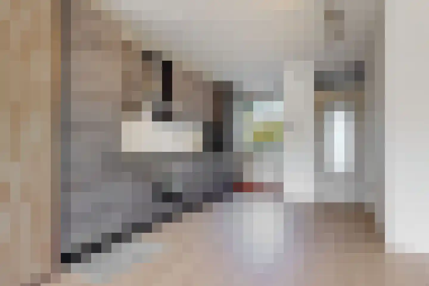 Brusselflat 47 Uithoorn thumbnail 7