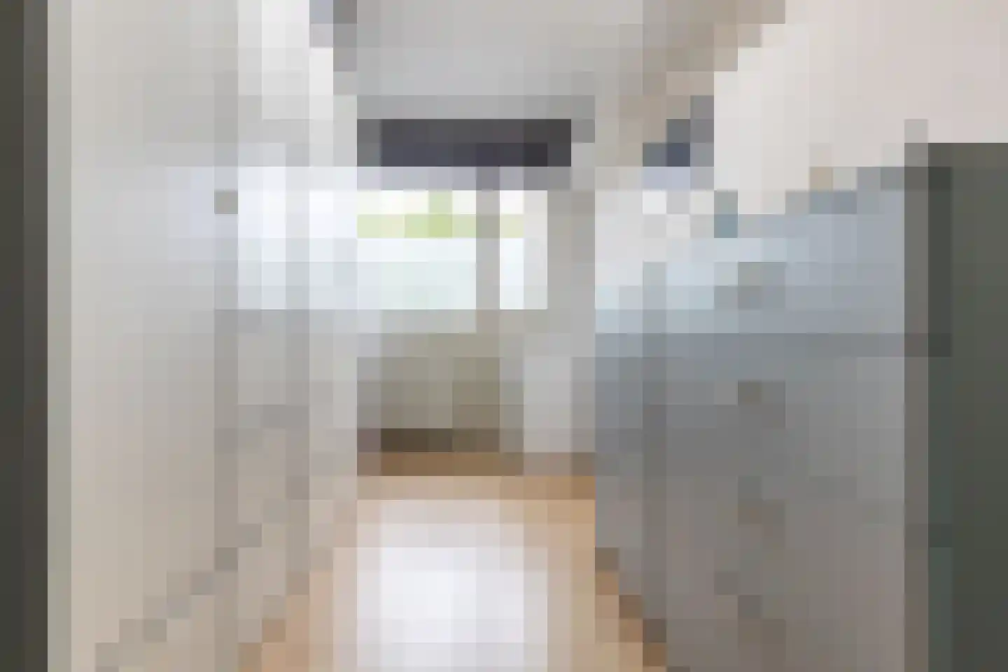 Brusselflat 68 Uithoorn thumbnail 13