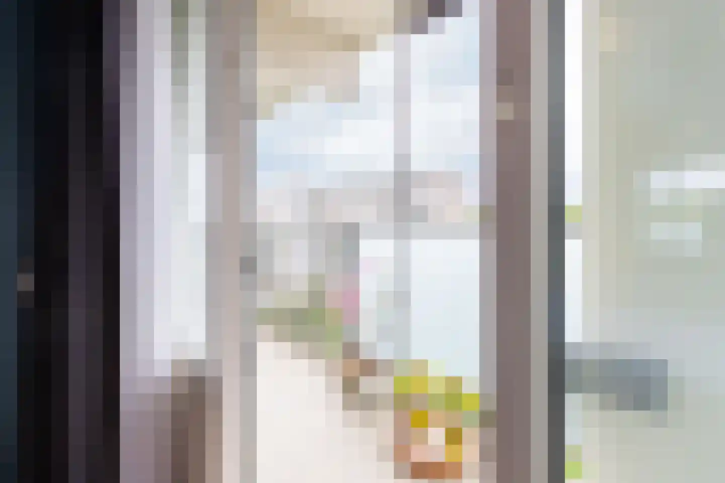 Brusselflat 68 Uithoorn thumbnail 17