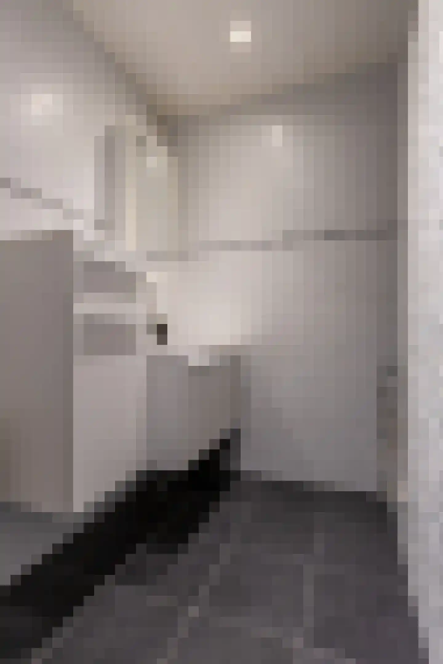 Brusselflat 68 Uithoorn thumbnail 19