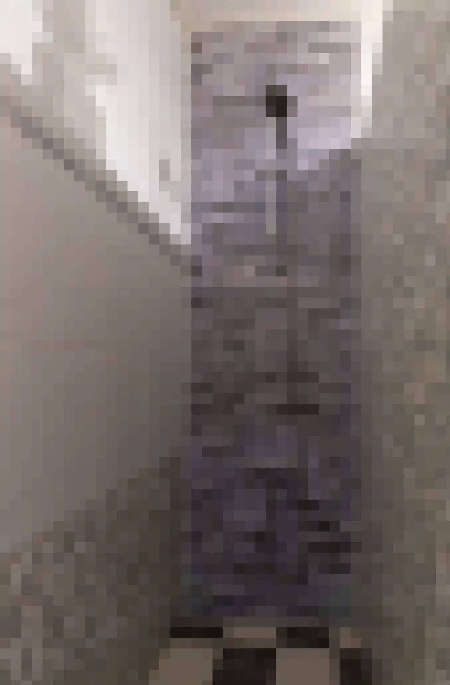 Brusselflat 68 Uithoorn thumbnail 20