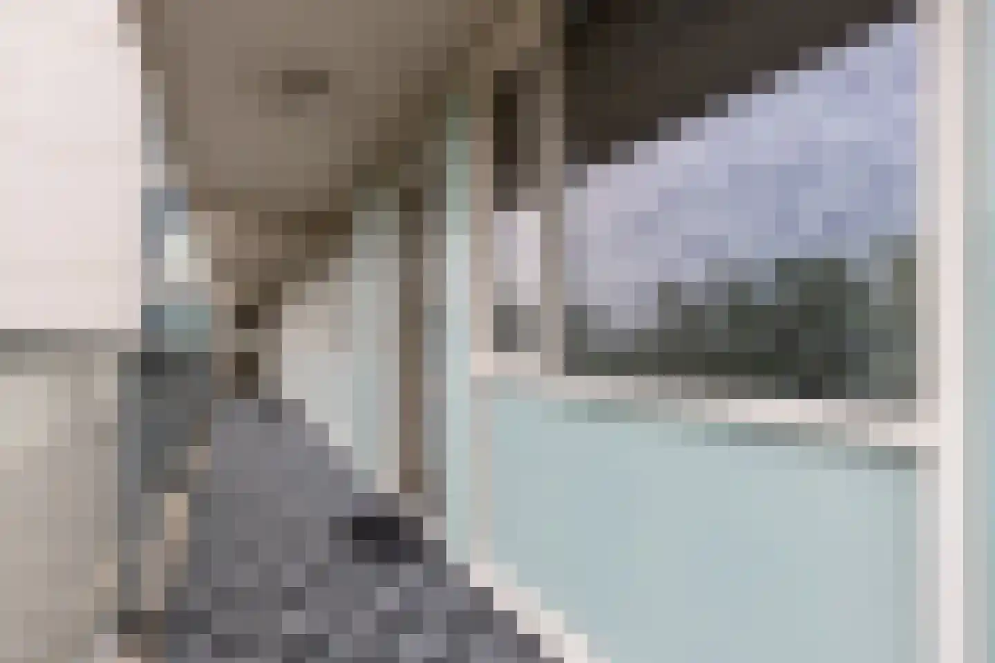 Brusselflat 68 Uithoorn thumbnail 28