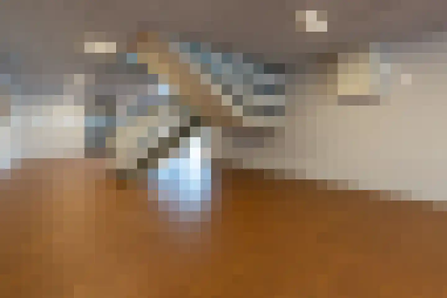 Brusselflat 68 Uithoorn thumbnail 30