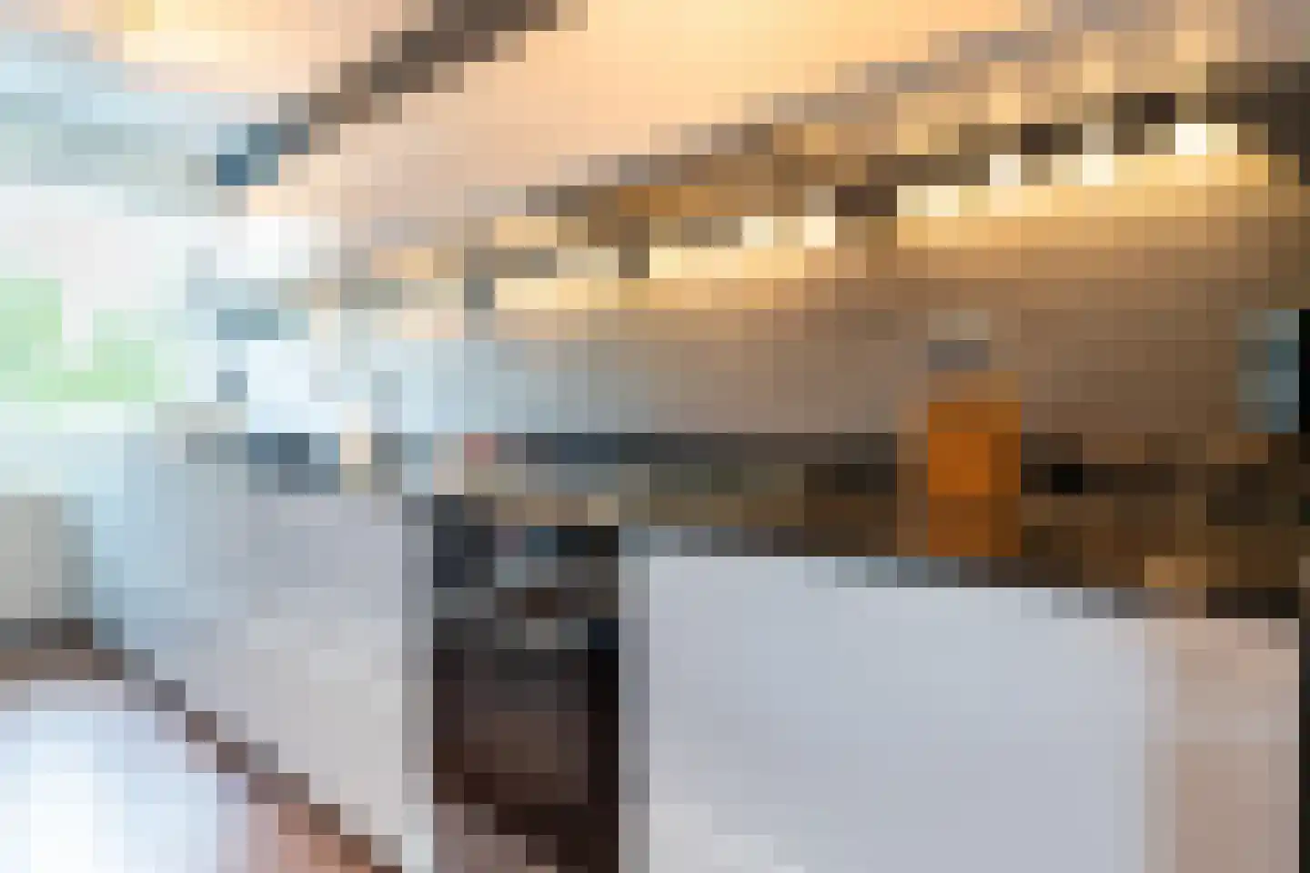 Brusselflat 68 Uithoorn thumbnail 7