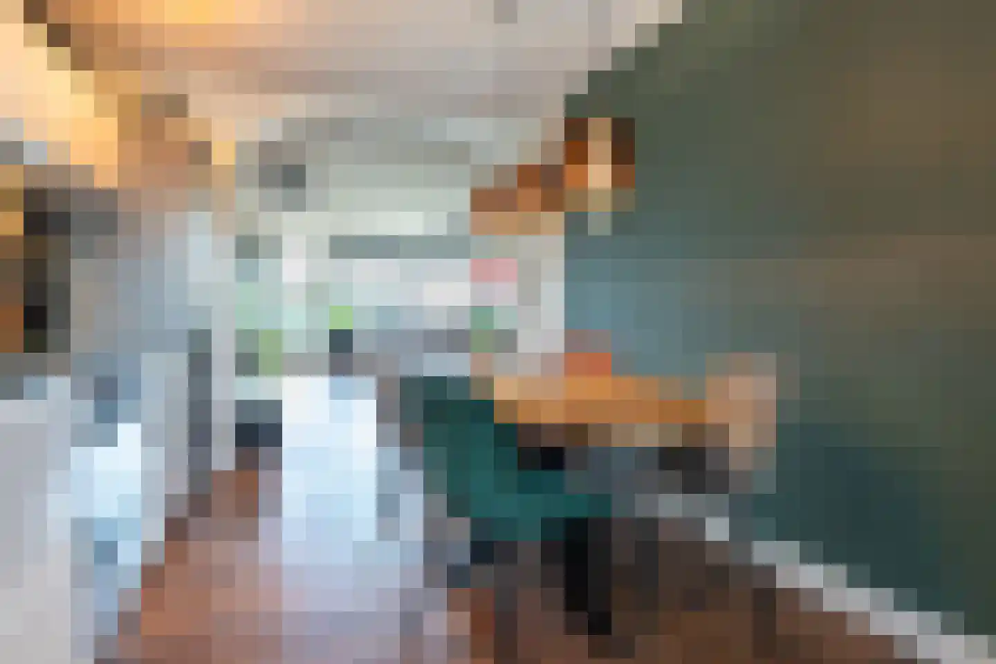 Brusselflat 68 Uithoorn thumbnail 8