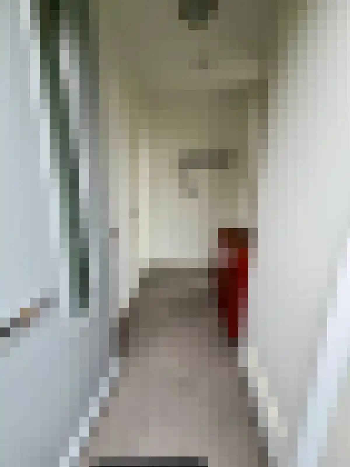 Brusselhof 3 Deurne thumbnail 6
