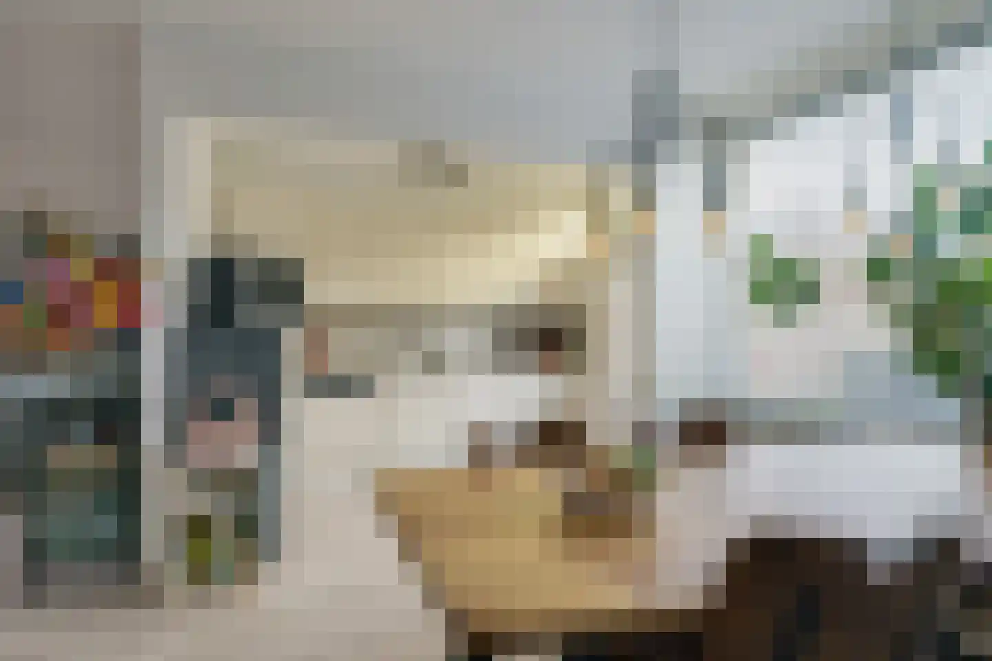 Brussellaan 16 Eindhoven thumbnail 19