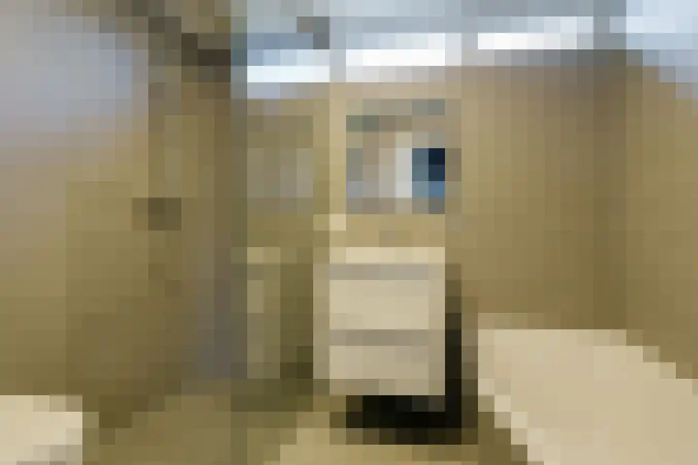 Brussellaan 16 Eindhoven thumbnail 32