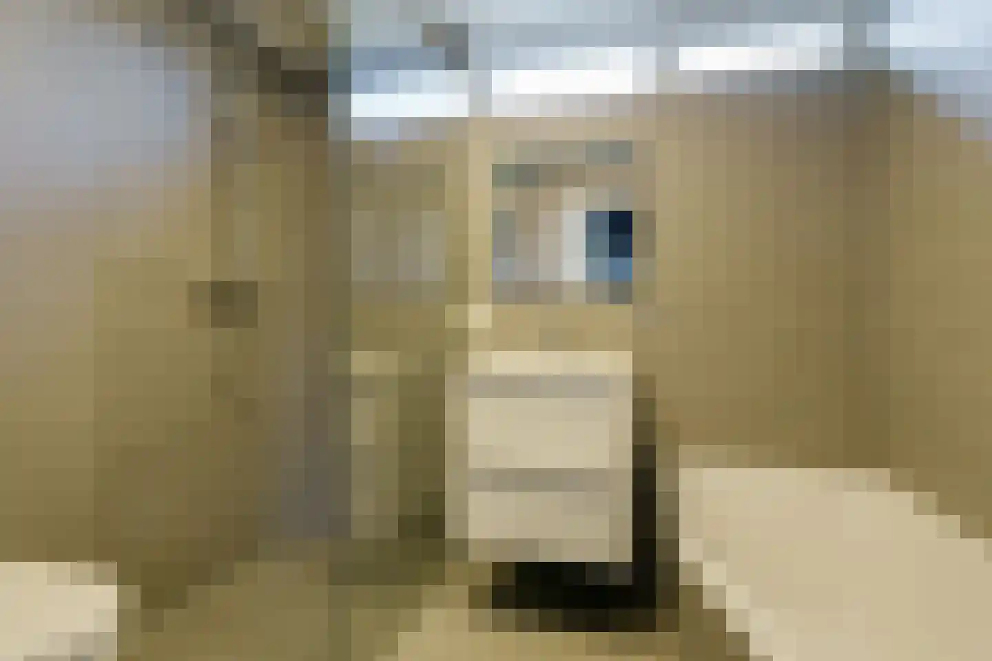 Brussellaan 16 Eindhoven thumbnail 4