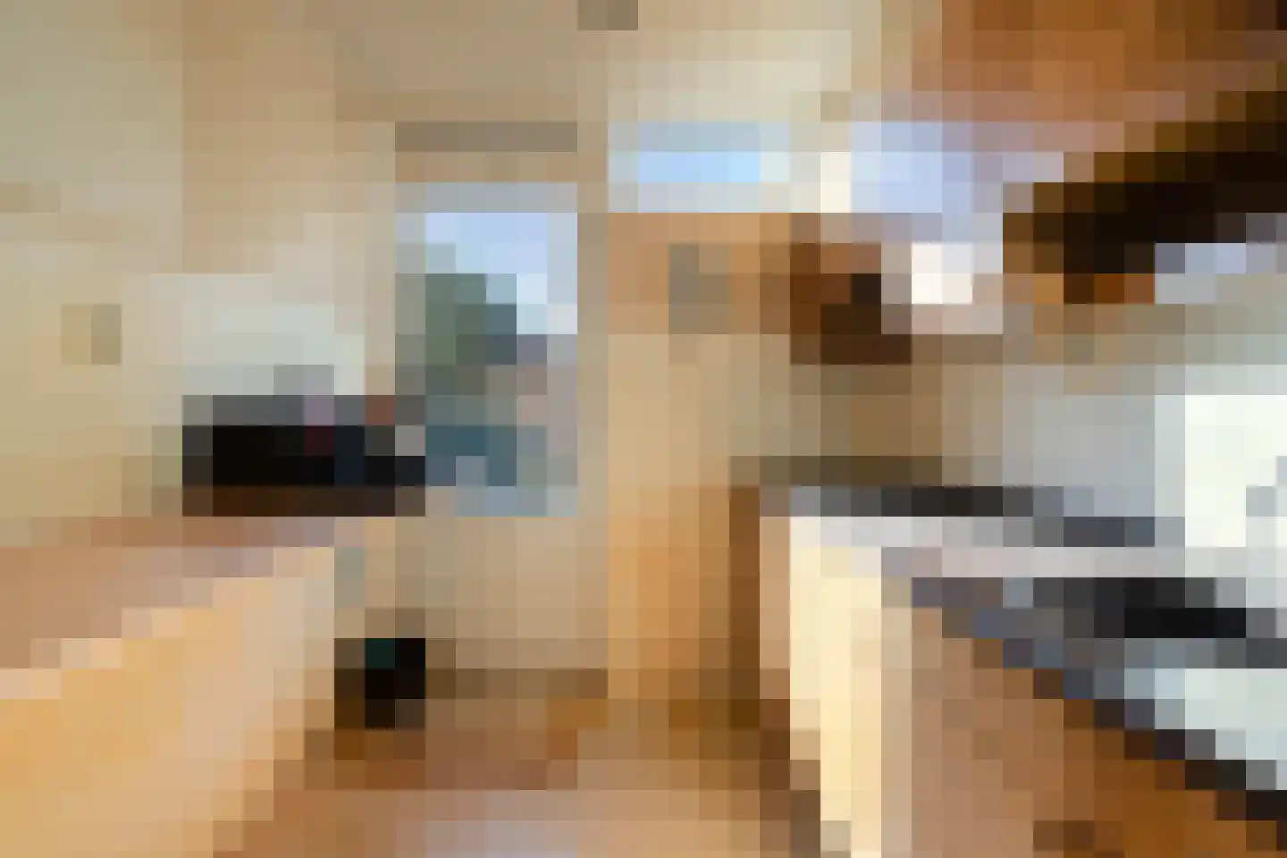 Brussellaan 33 Eindhoven thumbnail 10