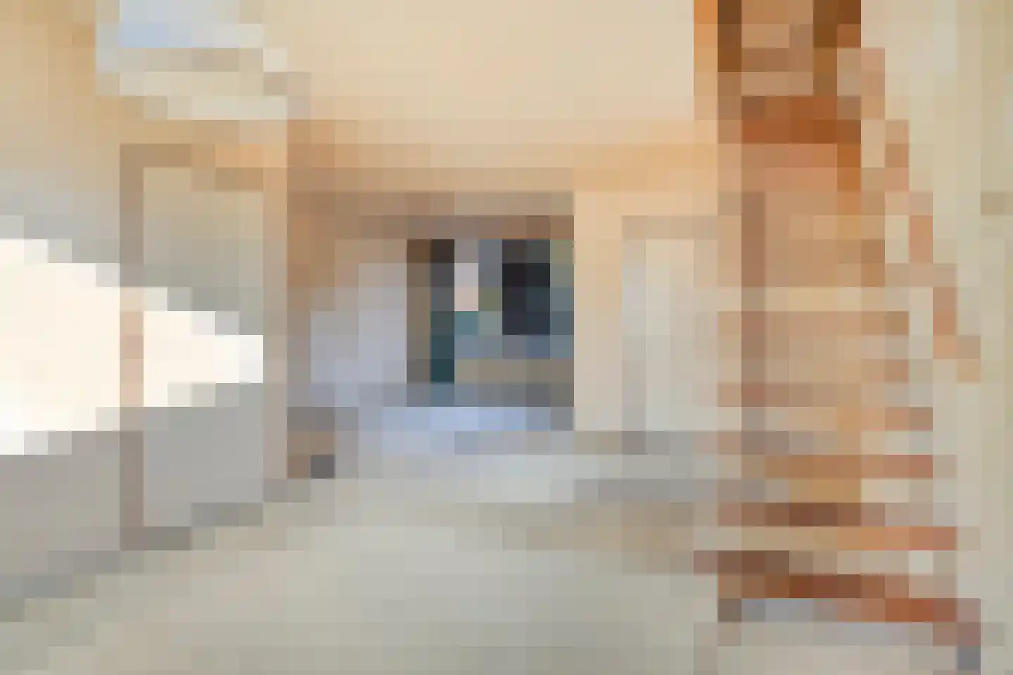 Brussellaan 33 Eindhoven thumbnail 7