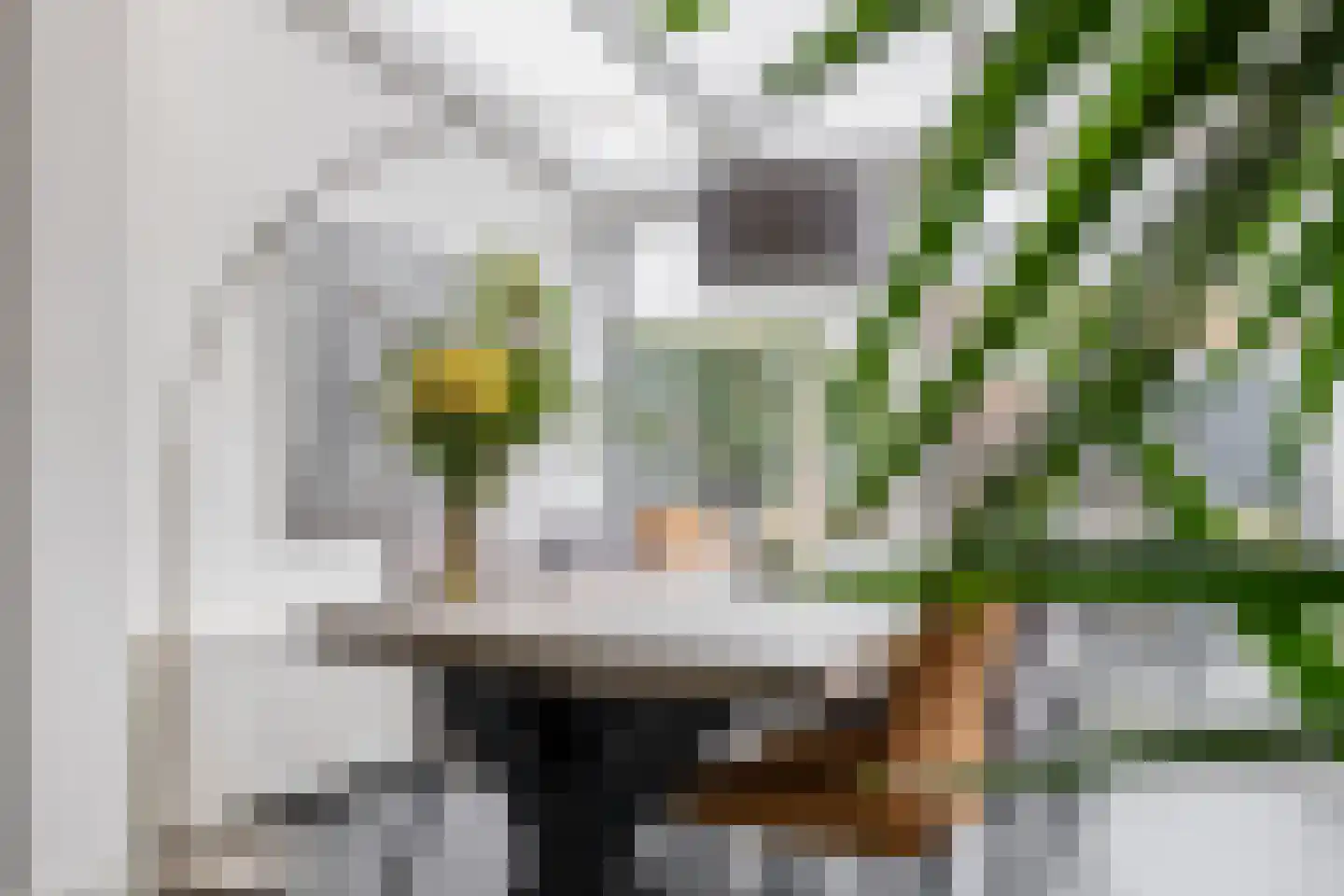 Brussellaan 42 Eindhoven thumbnail 25