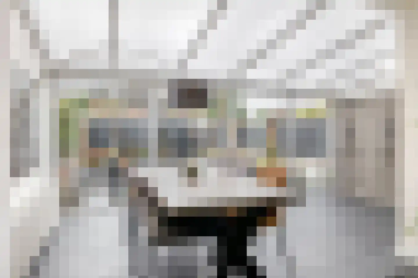 Brussellaan 42 Eindhoven thumbnail 26