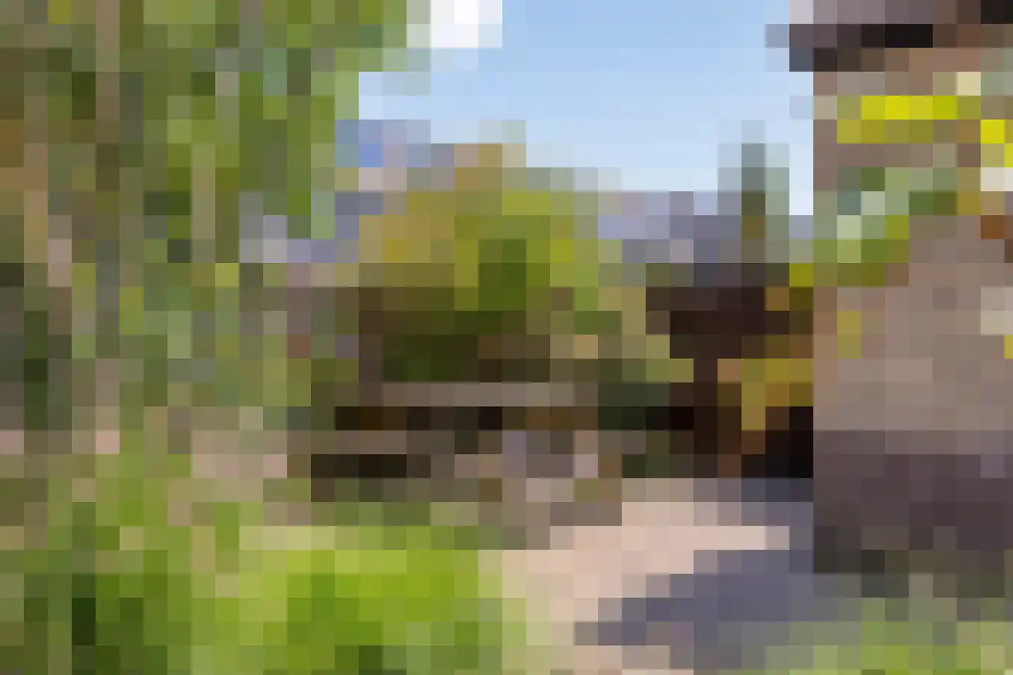 Brusselpark 16 Alphen aan den Rijn thumbnail 30