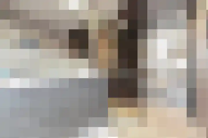Brusselselaan 12 Den Haag thumbnail 4