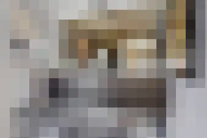 Brusselselaan 12 Den Haag thumbnail 5