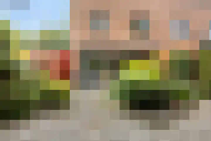 Brusselsestraat 10 Zaandam thumbnail 33