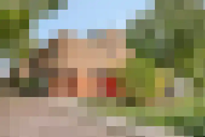 Brusselsestraat 10 Zaandam thumbnail 35