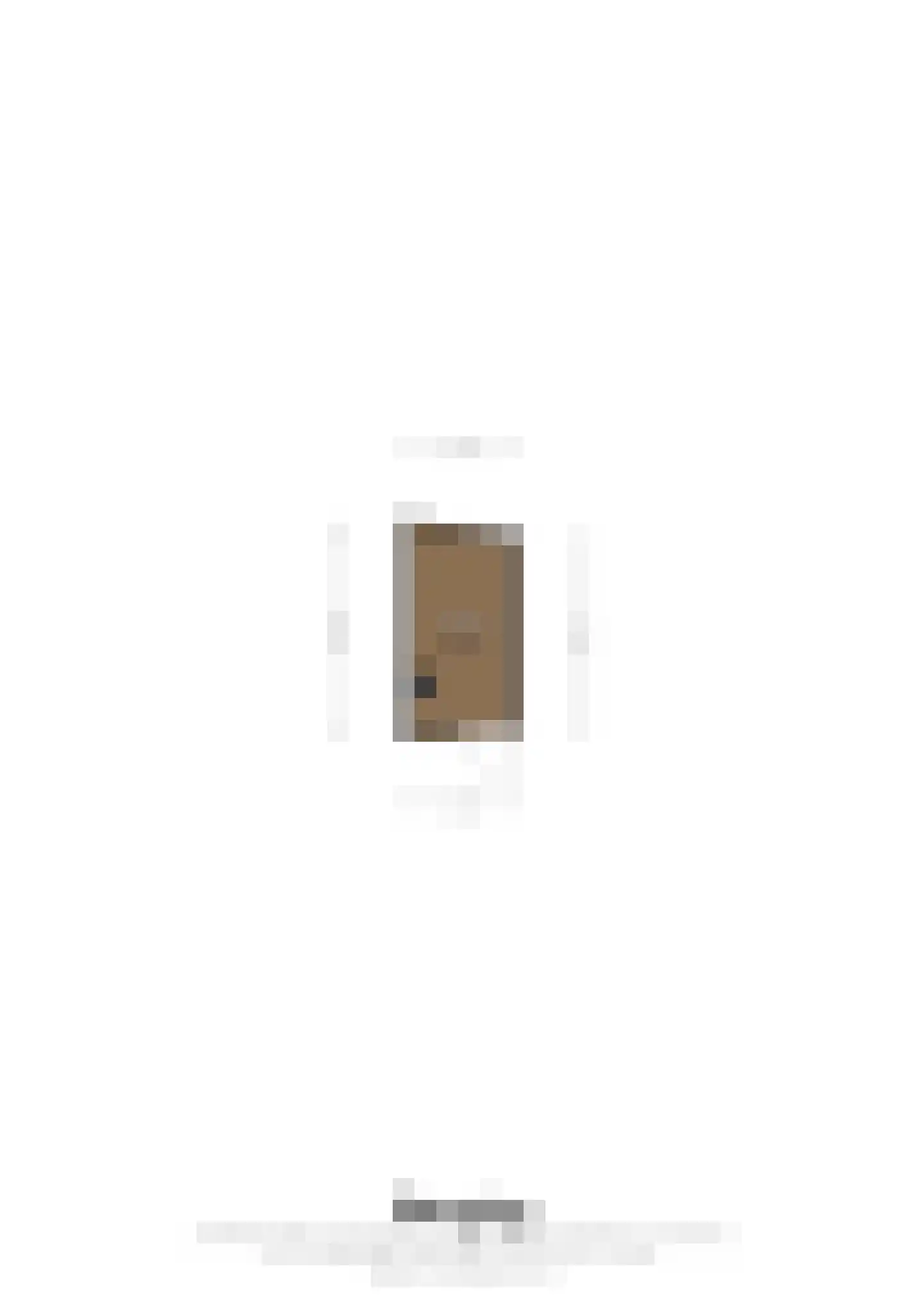 Brusselsestraat 129 A 01 Maastricht thumbnail 35