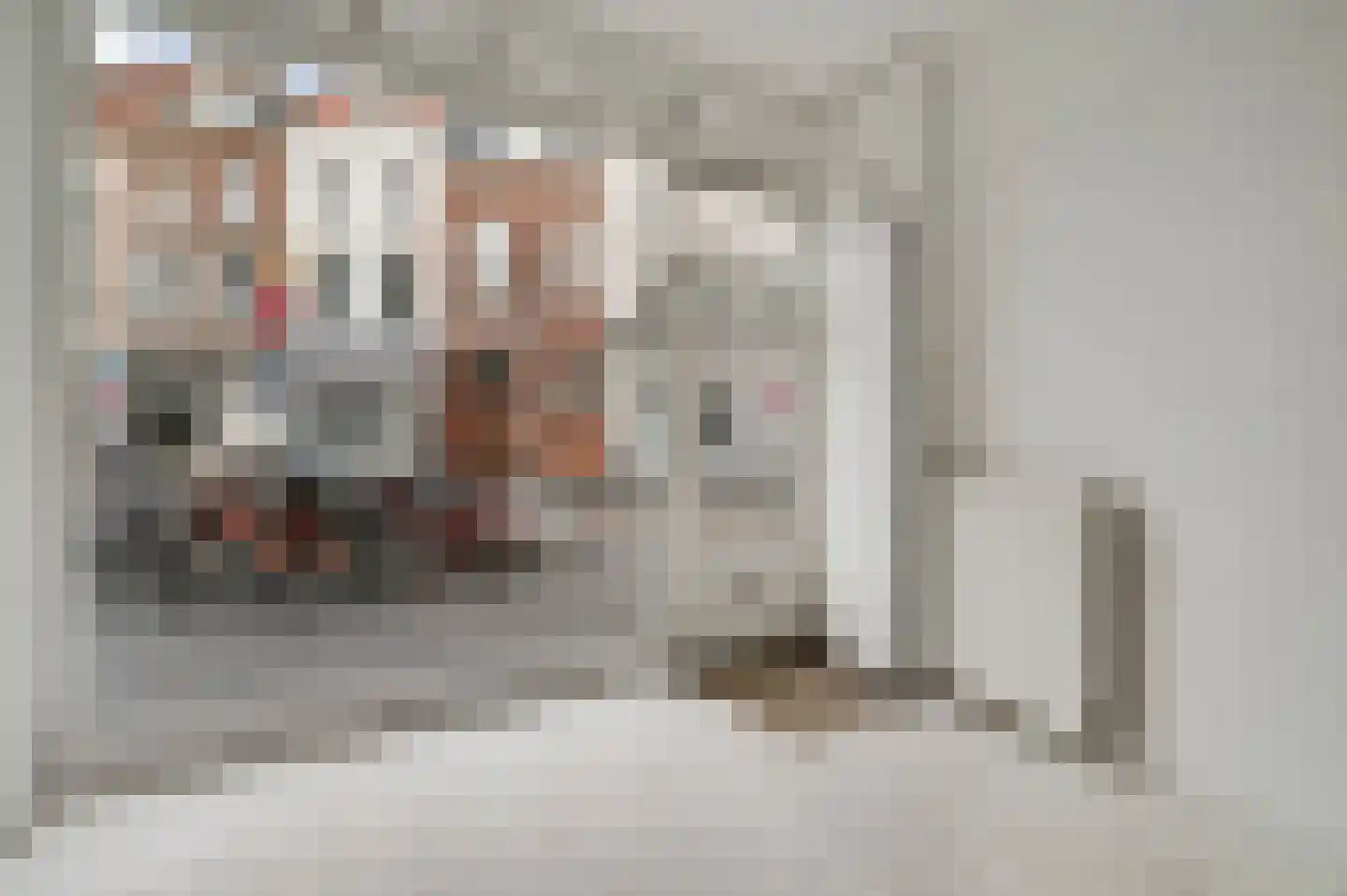 Brusselsestraat 19 Maastricht thumbnail 12