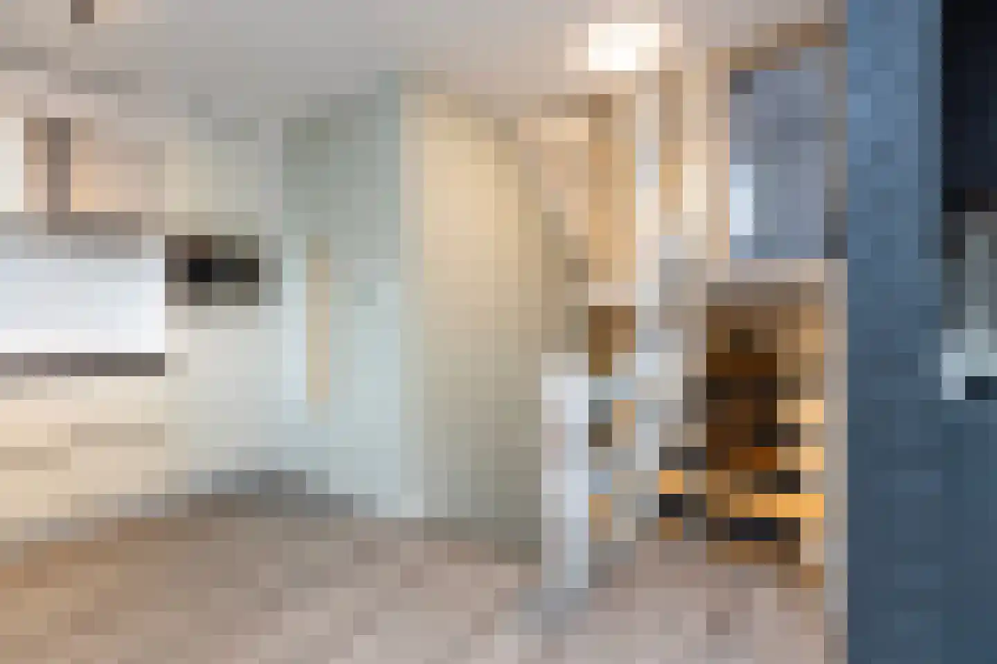 Brusselsestraat 19 Zwijndrecht thumbnail 12