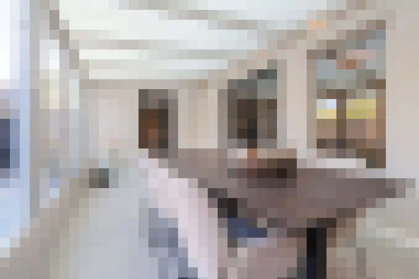 Brusselsestraat 3 Budel thumbnail 24