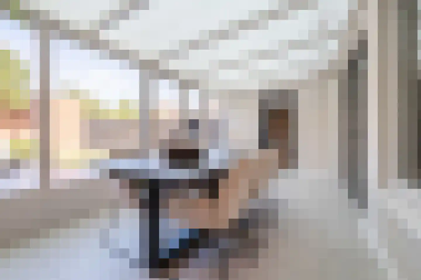 Brusselsestraat 3 Budel thumbnail 25