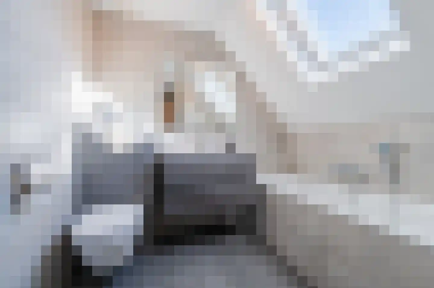 Brusselsestraat 3 Budel thumbnail 40