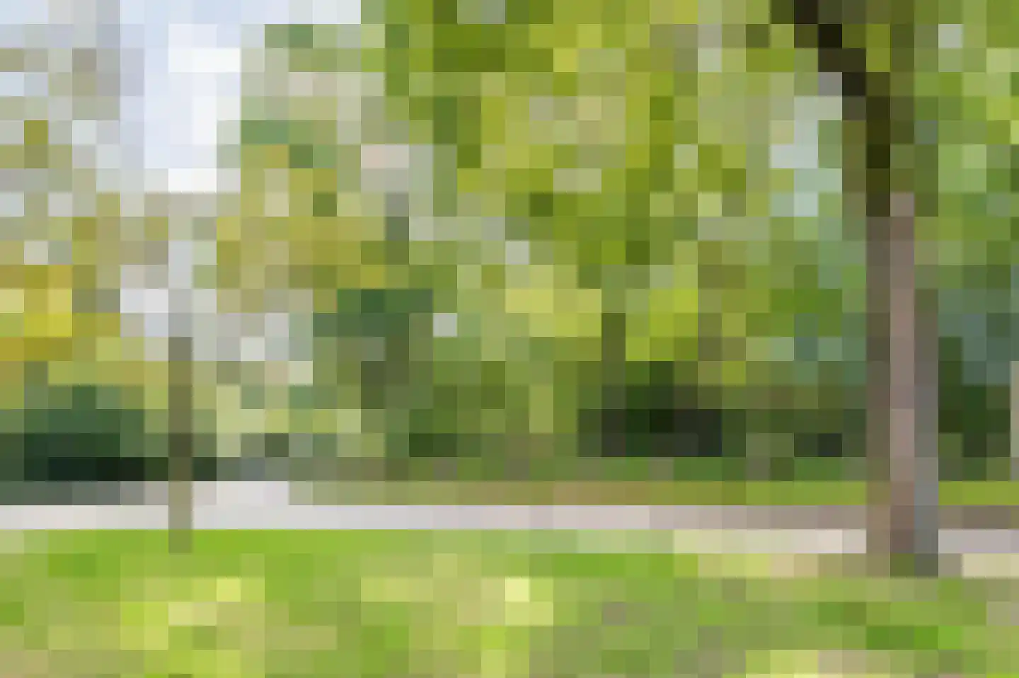 Brusselsestraat 3 Budel thumbnail 54