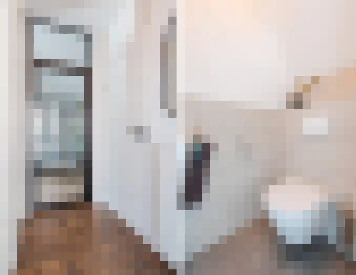 Brusselsestraat 3 Budel thumbnail 9