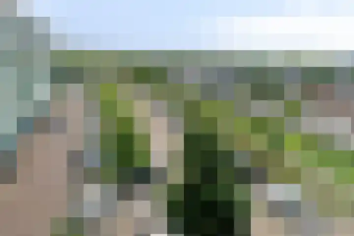 Brusselstraat 360 Breda thumbnail 28