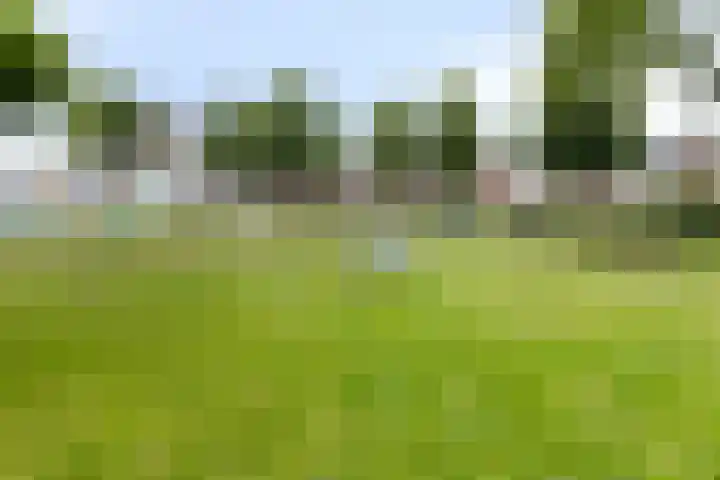 Brusselstraat 360 Breda thumbnail 33