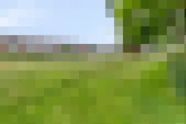 Brusselstraat 360 Breda thumbnail 34