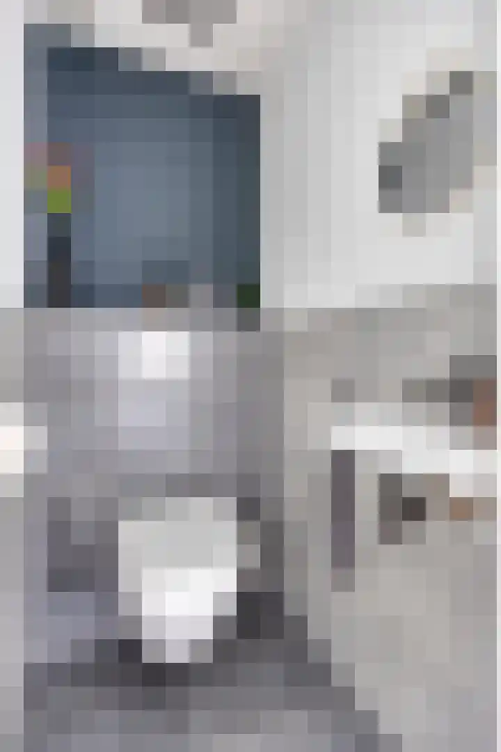 Brusselstraat 360 Breda thumbnail 7