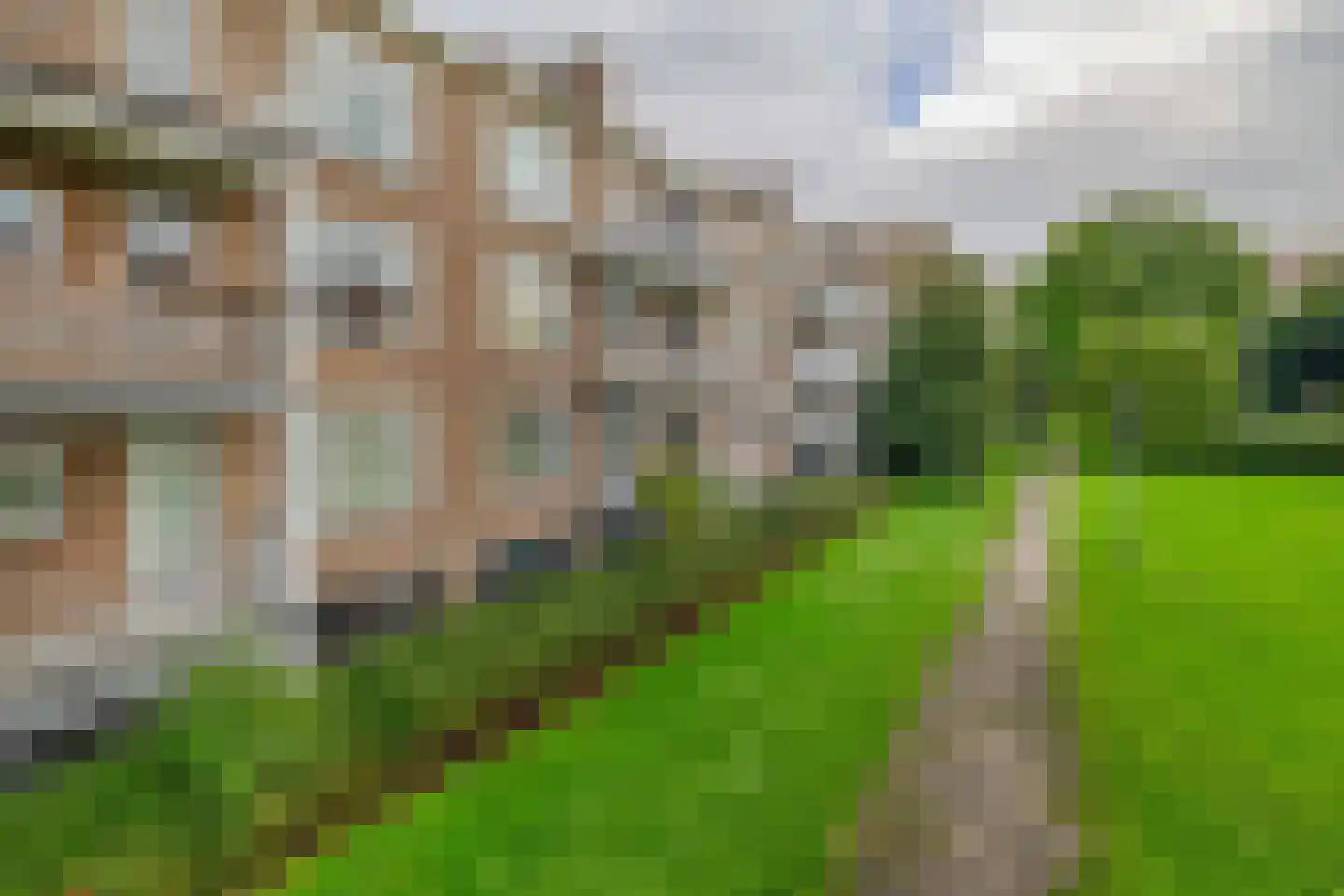 Brussestraat 13 A Rotterdam thumbnail 22