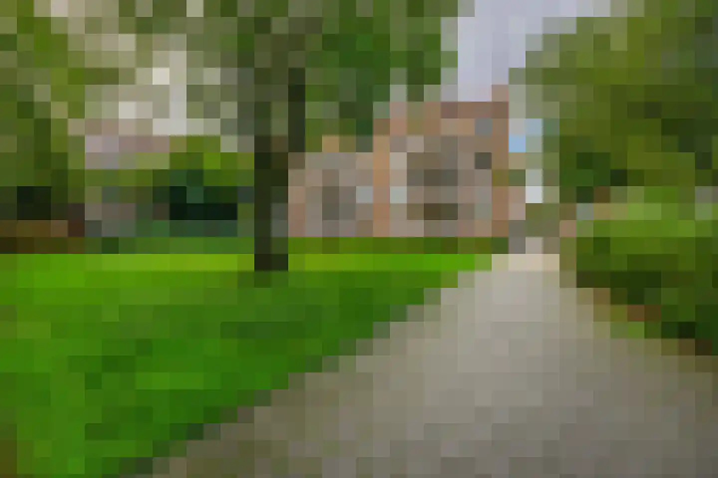 Brussestraat 13 A Rotterdam thumbnail 32